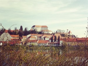 ptuj grad
